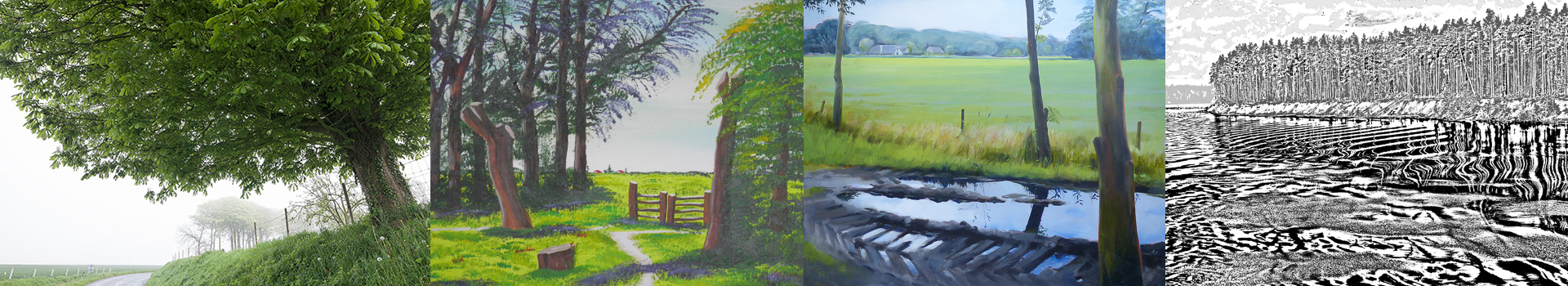 header v fotoos 14
